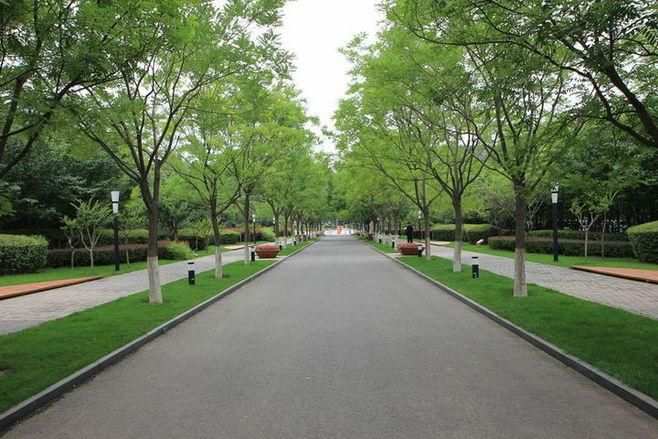 1929cc威尼斯(中国)有限公司-Sogou百科