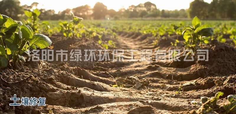 1929cc威尼斯(中国)有限公司-Sogou百科